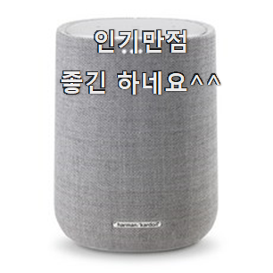  비교정보 하만카돈사이테이션 추천상품 리뷰 맘에 듭니다.