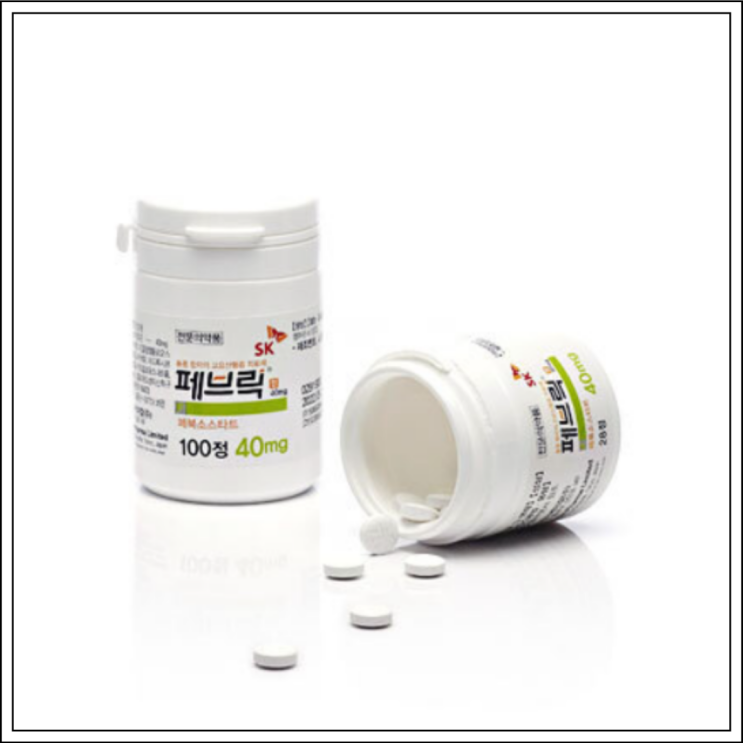  통풍약 페브릭정 40mg, 성분/효능효과/먹는법/주의사항 알고 드세요~