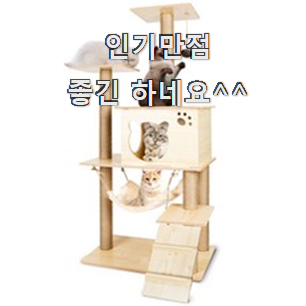  대박특가 캣타워 핫템 순위정보 친구도 인정해요.