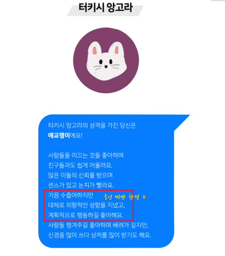 고양이로 태어난다면 / 고양이MBTI테스트 / 터키시 앙고라 짜잔 고양이로 태어난다면 / 고양이MBTI테스트 / 터키시 앙고라 짜잔
