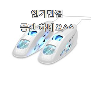  현명한소비 신발건조기 베스트 인싸템 갖고싶네요.