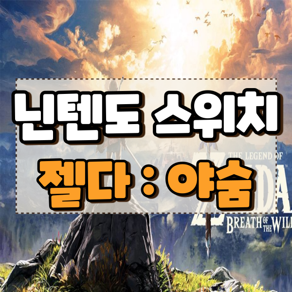  젤다의 전설 야생의 숨결 공략 야숨 초반 팁