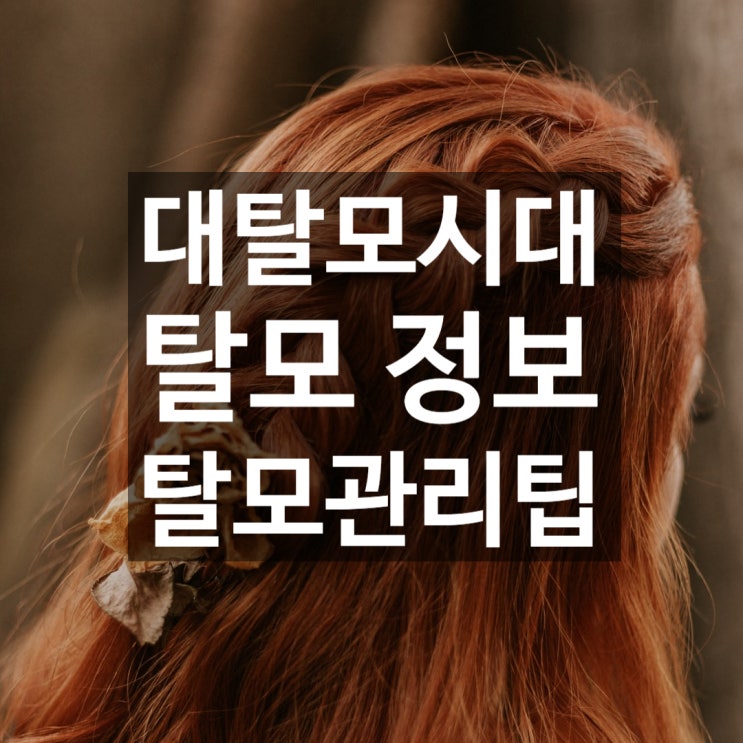  머리카락이 많이 빠져요 ㅠㅠ (탈모에 관한 정보와 팁!)