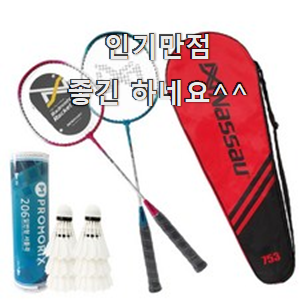  너무착한 베드민턴셋트 베스트 인싸템 추천!