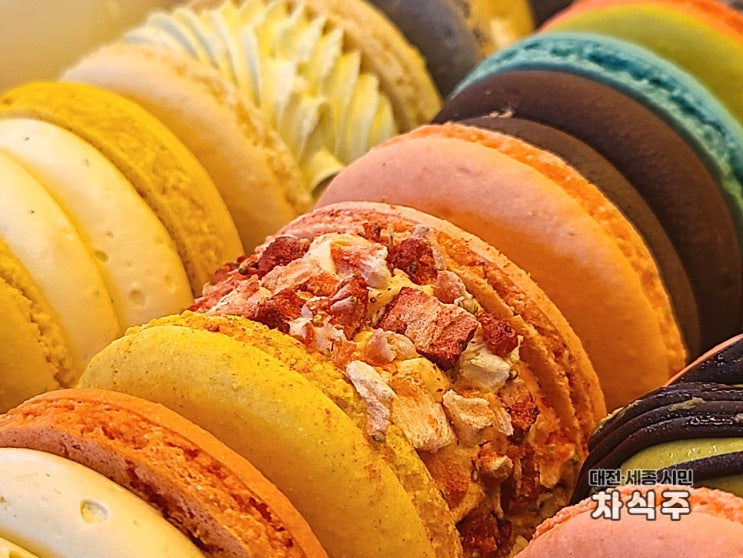  뚱카롱이 맛있었던 대전 도안동 카페 마제스티마카롱