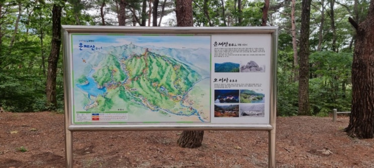  오랜만에 산행 운제산~