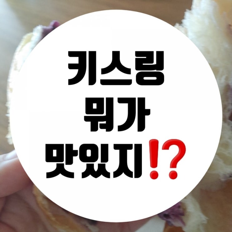  여수 이순신 광장 핫플 키스링 자극적이지 않네