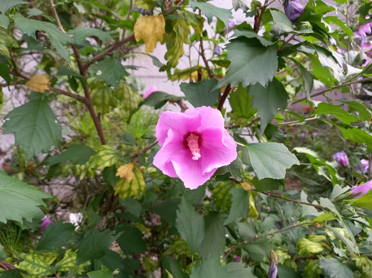 진정한 우정 진정한 우정