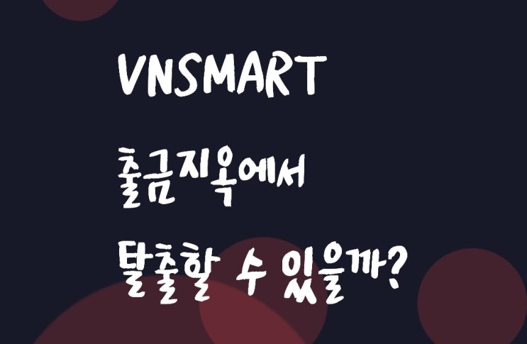 VNSMART VNC코인, 출금 문제에 대한 고찰 (손절 vs 홀딩)