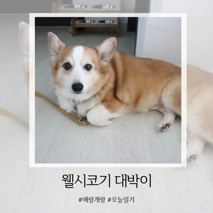  1279일 : 새로운 식구를 소개합니다