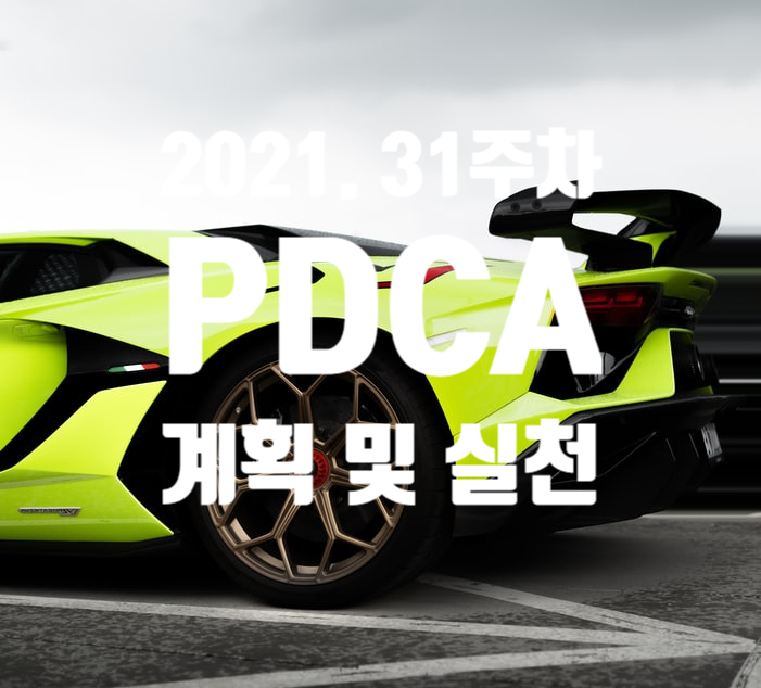  2021년 계획과 실천 31주차 점검 [대단한 노력을 하라]