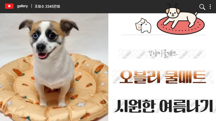 강아지 쿨매트 오블리 쿨매트로 시원한 여름 견디셔 강아지 쿨매트 오블리 쿨매트로 시원한 여름 견디셔