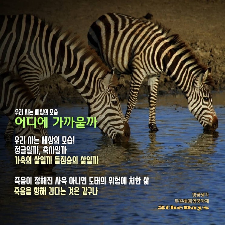 세상의 모습, 정글일까 축사일까