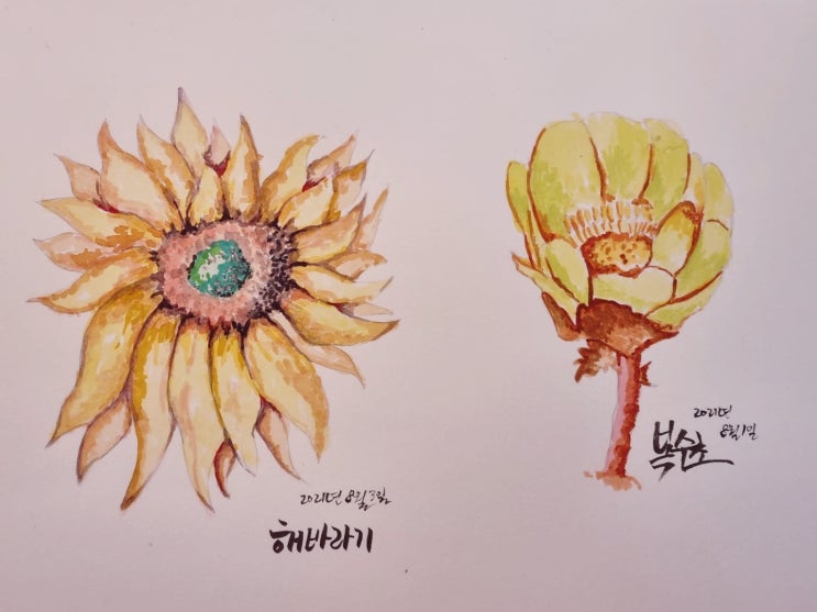  수채화 캘리그라피 꽃 그리기 책 추천!!