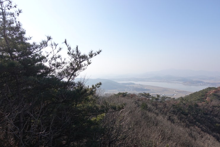  왼쪽 오른쪽 옆구리 통증 때문에 유발된 것 같은 증상들의 원인