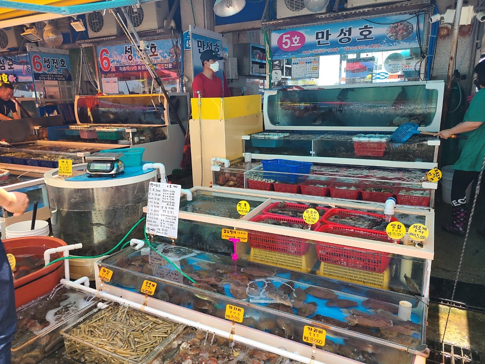 해돋이펜션 사진 3