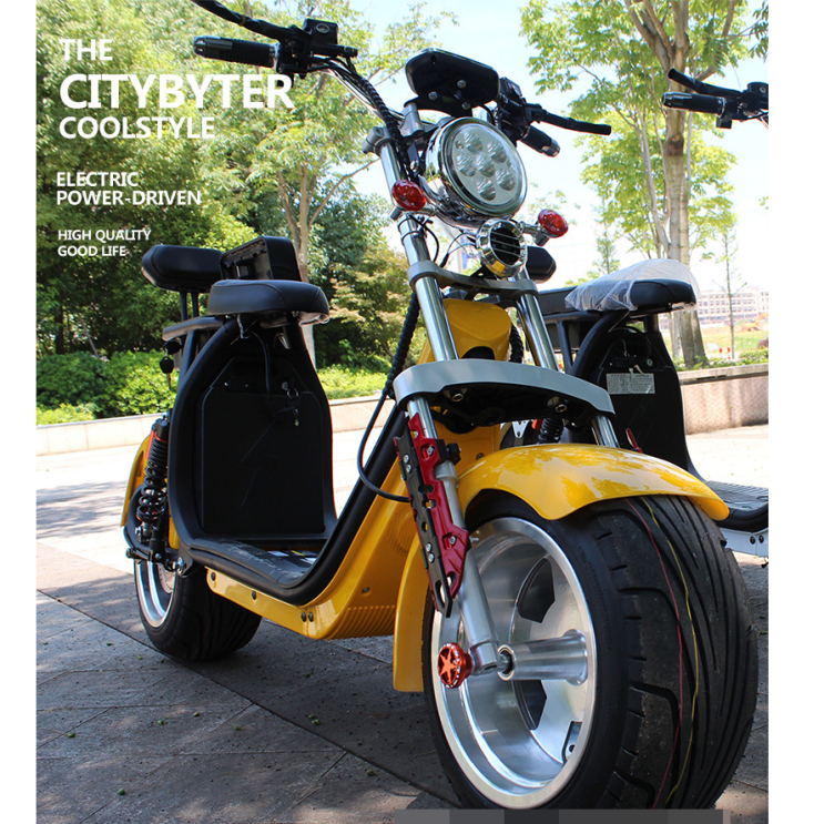 선택고민 해결 XBY전동스쿠터 전동자전거 할리전동오토바이, 와인색 좋아요
