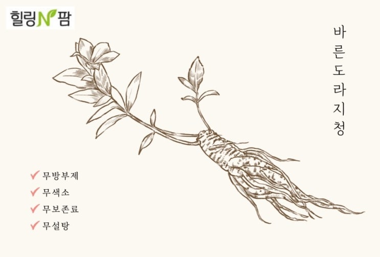  [도라지청] 도라지 효능(기관지 질환 예방, 변비 완화, 면연력 강화, 혈액순환)