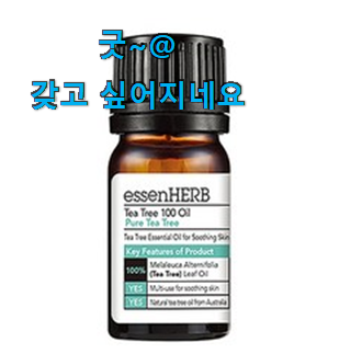 놀라운가격 야외테닝오일 별점 쌓인순 칭찬은 처음인 듯 해요. 놀라운가격 야외테닝오일 별점 쌓인순 칭찬은 처음인 듯 해요.