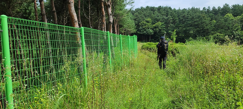 십리장동산 사진 6