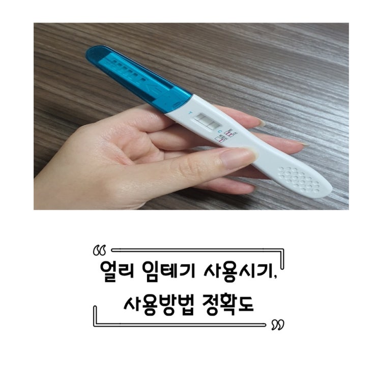  얼리 임테기 사용시기와 사용방법, 정확도 알아봐요