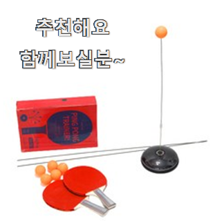  비교정보 셀프탁구놀이 인기상품 리뷰 갖고싶네요.