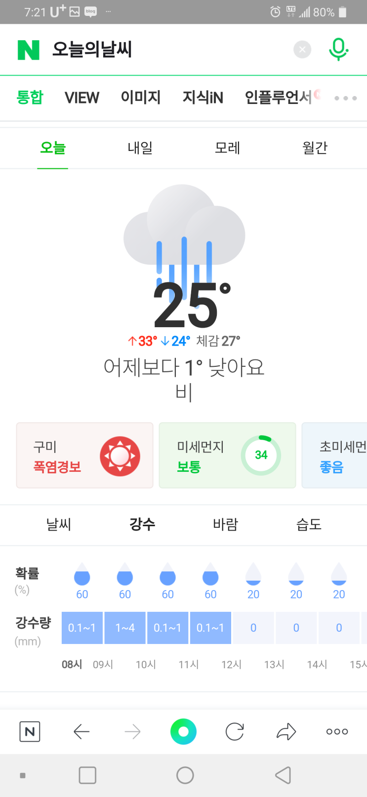 홈트 대신 만보걷기를 해야지