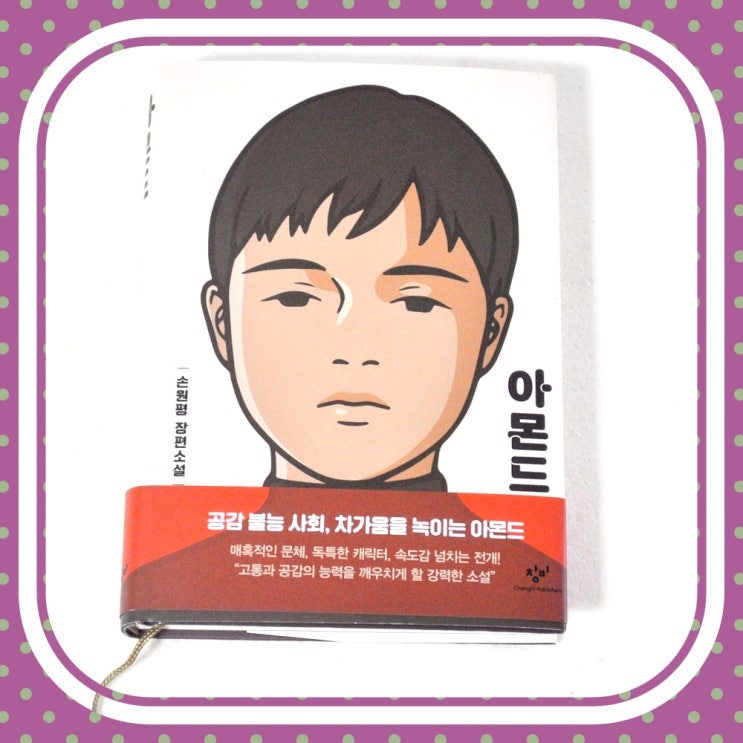  고통과 공감을 깨우치게 하는 청소년 문학 손원평 아몬드