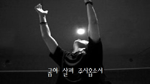  이것이 '플사의 농간'인가요, '기사의 착각'인가요?