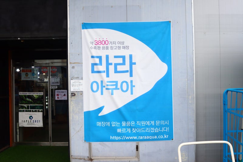 남양주 수족관 라라아쿠아 오프라인 매장 다녀왔어요 : 네이버 블로그 남양주 수족관 라라아쿠아 오프라인 매장 다녀왔어요 : 네이버 블로그