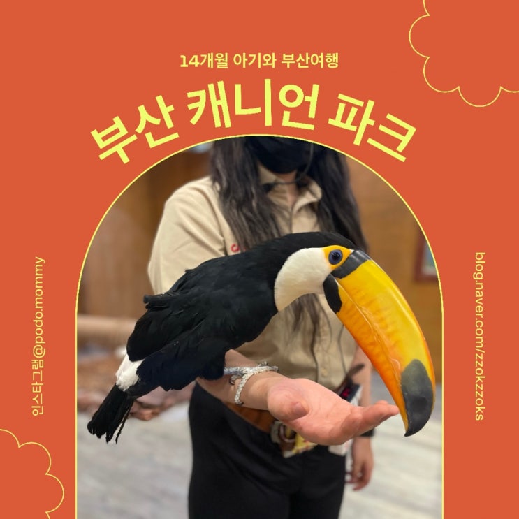  [부산 캐니언파크] 초행자를 위한 세상 디테일한 실내동물원 캐니언파크 주말이용기(14개월 아이와 부산여행)