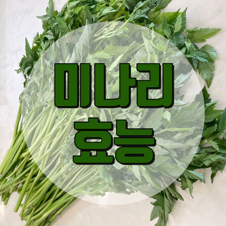 미나리 효능 섭취 방법은? 미나리 효능 섭취 방법은?