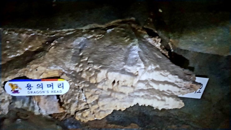 강원도 영월 가볼만한곳 고씨동굴 천연기념물 제 219호