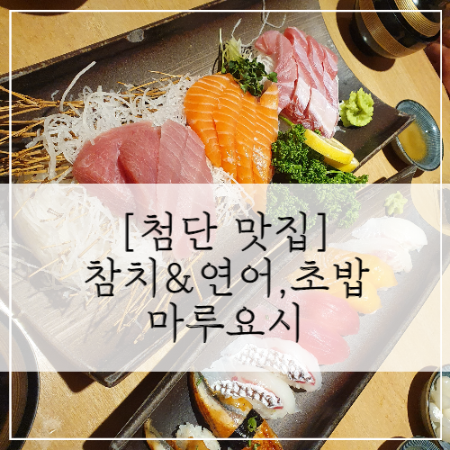 [첨단 맛집] 참치&연어, 초밥 전문점 '마루요시'