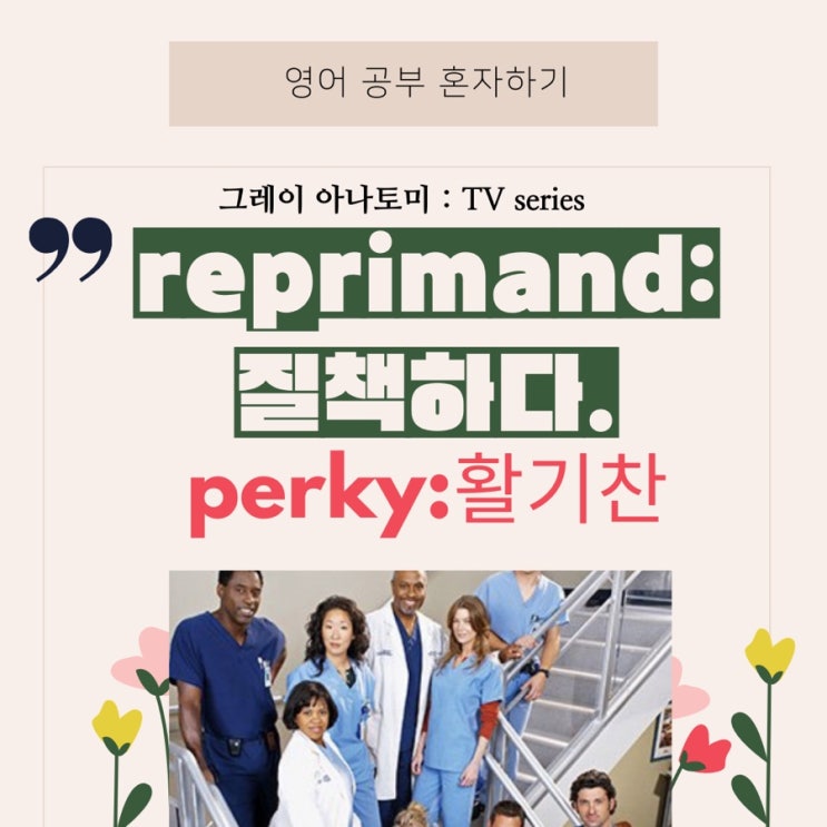  미드영어회화] reprimand(질책하다)/perky(활기찬)/ ineffectual(힘없는) 미드로 영어공부하기/그레이 아나토미 (3화/시즌 1) /미드로 보는 기초 영어회화