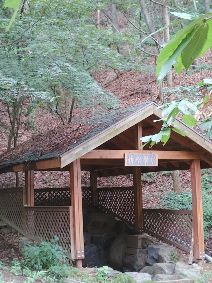 오늘 아침 안개와 어우러진 망현산