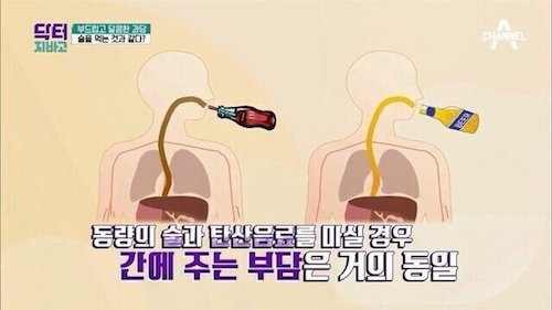  탄산음료의 충격적인 진실