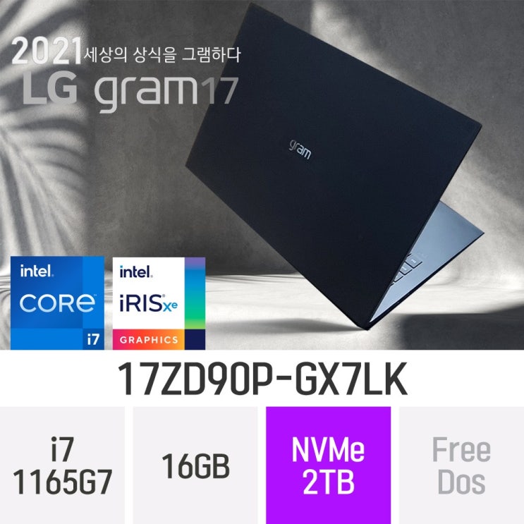 가성비갑 LG 2021 그램17 17ZD90P-GX7LK, 16GB, 2TB, 윈도우 미포함 좋아요