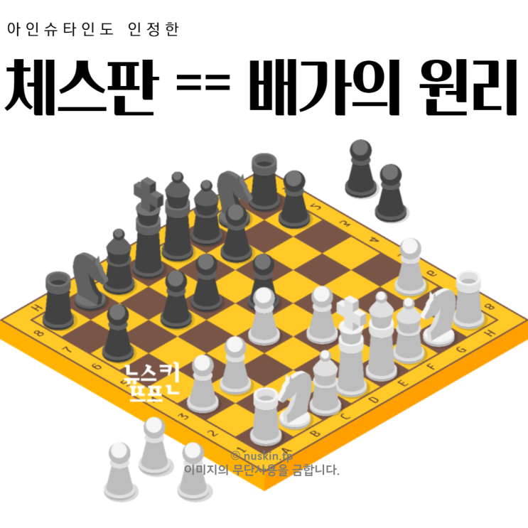  뉴스킨 사업의 이해, 배가의 원리가 다가왔다.