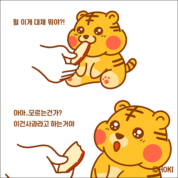 [호키툰] 헐 이게 대체 뭐야