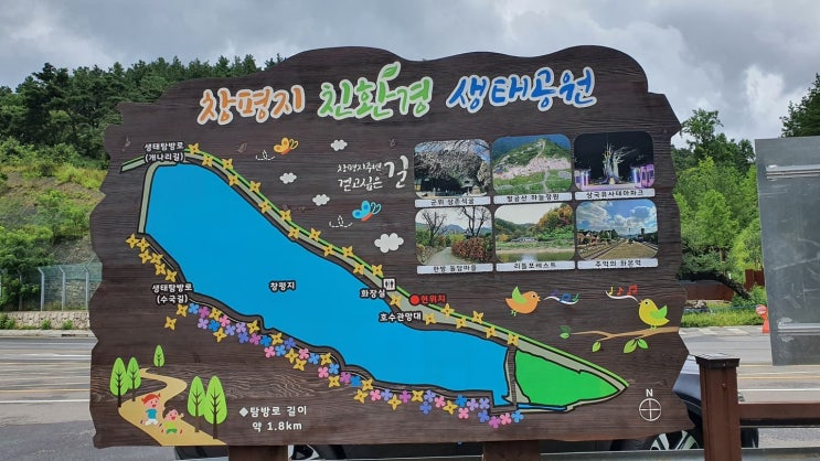  [군위 창평지 친환경 생태공원]