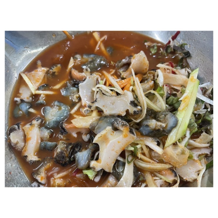  남해 미조면 전복죽, 물회 맛집/ 미조항 해물촌