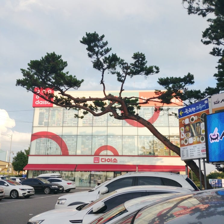  수원 다이소 세마대사거리점 (영업시간 및 주차장)