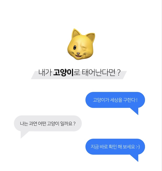  고양이 성격 테스트, 내가 고양이로 태어난다면?(링크있음)