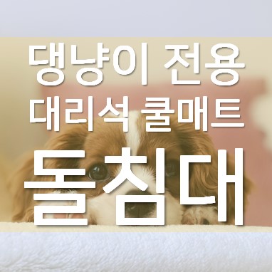 강아지대리석쿨매트 로 추천하는 더편한펫세상 돌침대(feat. 루이킴)