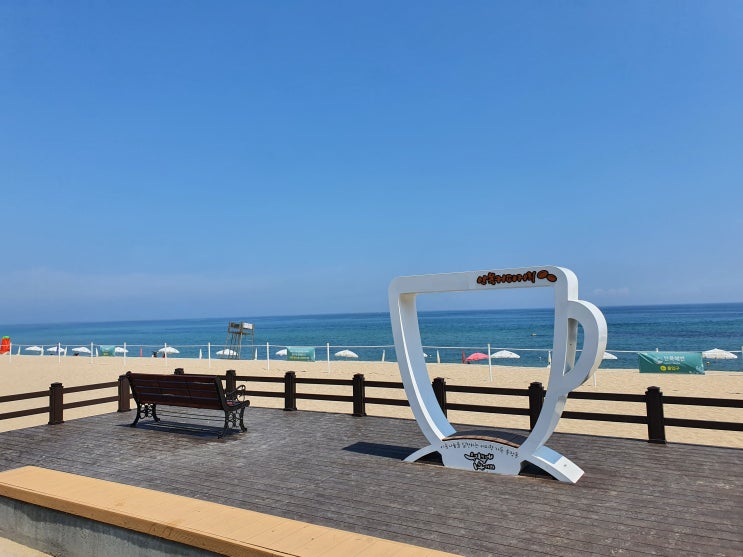  [2021 하계 내일로 #2 강릉 안목해변]