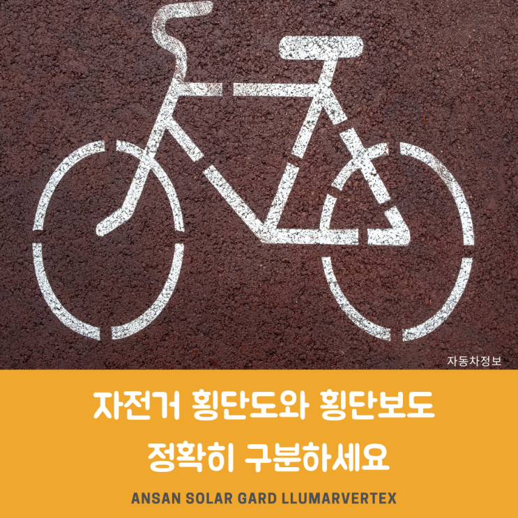 자전거 횡단 도와 횡단보도 명확히 구분해야 피해 없어요.