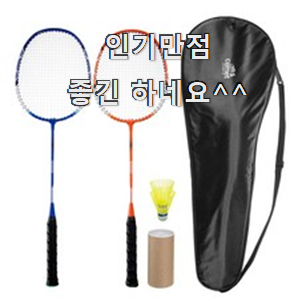  특가 베드민턴 베스트 순위 추천 한다니깐요.