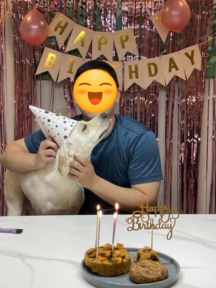 래브라도 리트리버 밤이의 생일 함께함 교감 네번째 생일 래브라도 리트리버 밤이의 생일 함께함 교감 네번째 생일