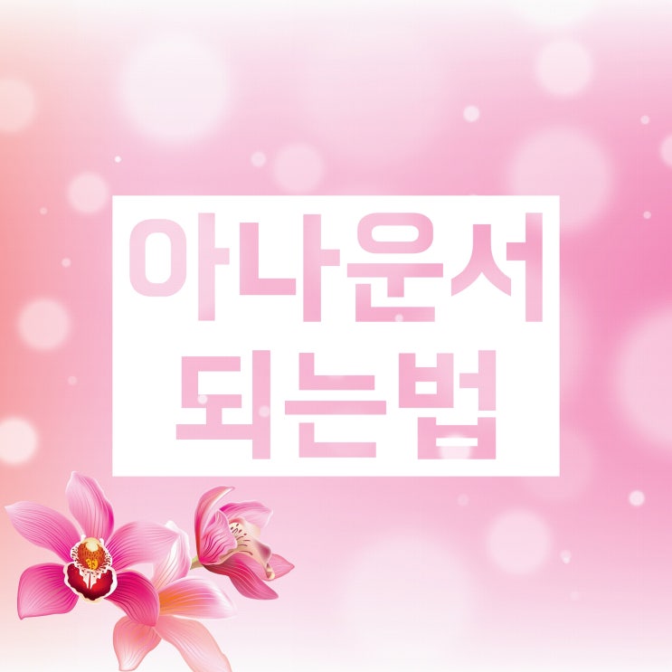 아나운서 되는법 :: 간단하게 알아봅시다 아나운서 되는법 :: 간단하게 알아봅시다
